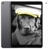 iPad Air